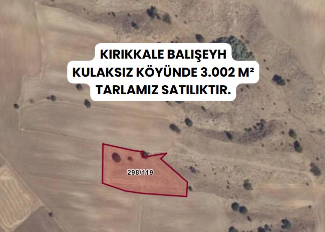 KIRIKKALE BALIŞEYH KULAKSIZ  KÖYÜNDE  3.002  M² TARLA SATILIKTIR - KIRIKKALE BALIŞEYH fotoğraf 7